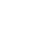 Shield check